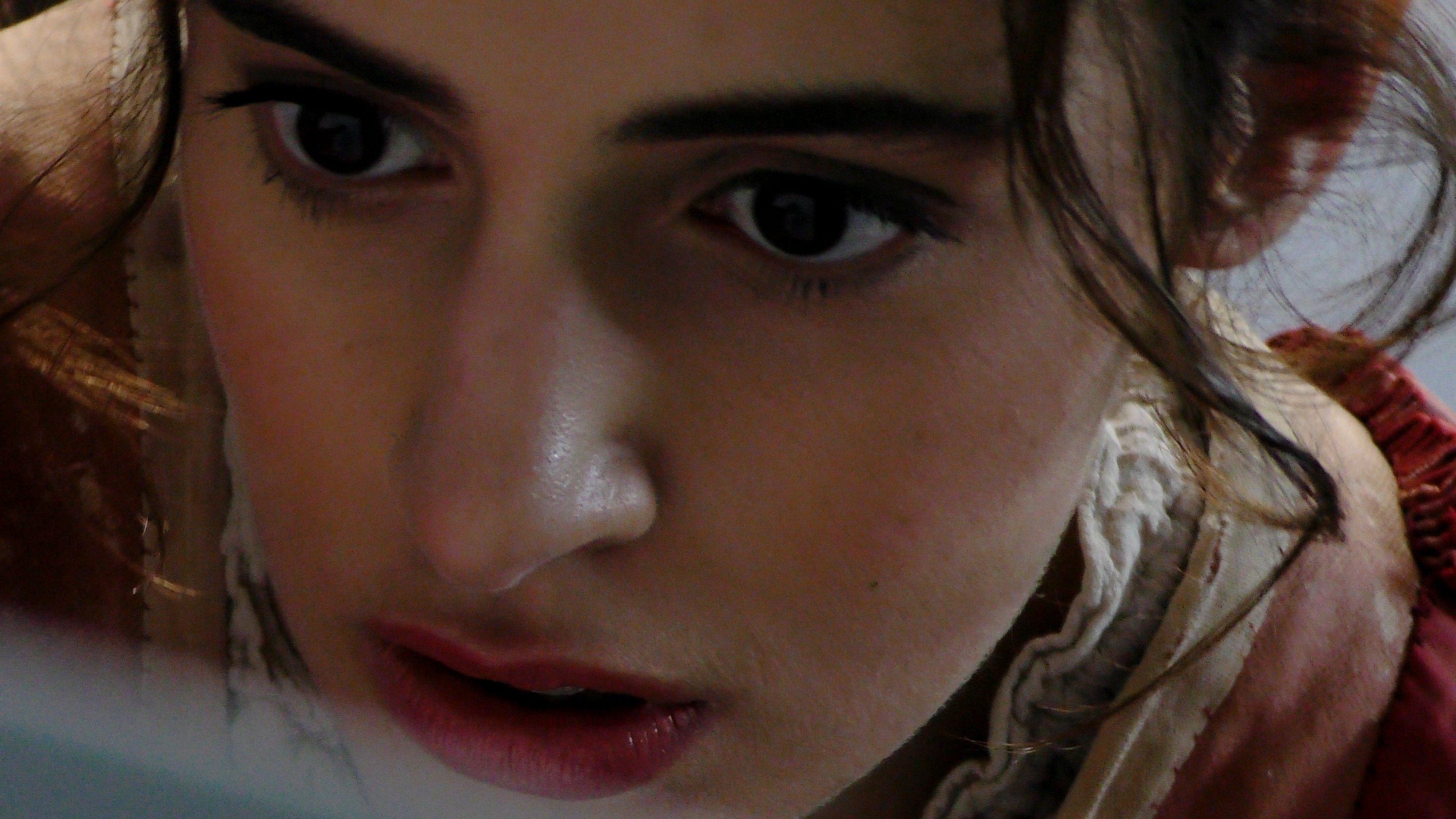 Backdrop for Artemisia Gentileschi, Warrior Painter