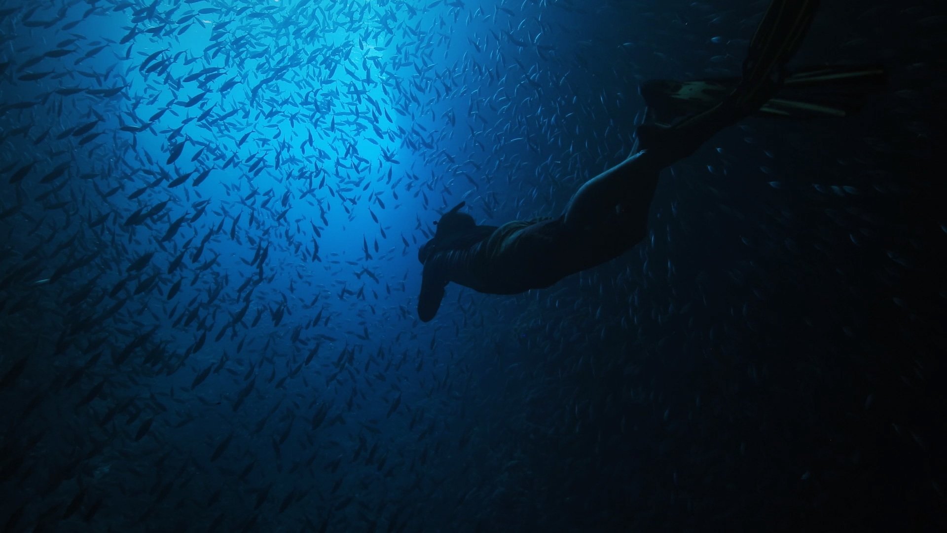 Backdrop for Earth Live