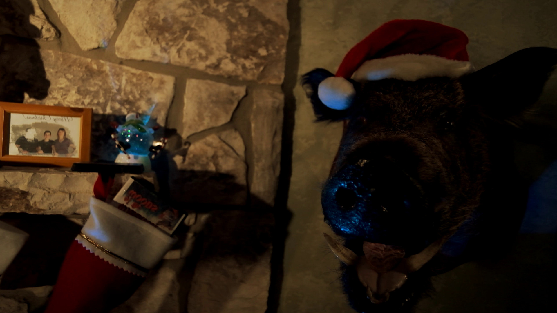 Backdrop for B O A R