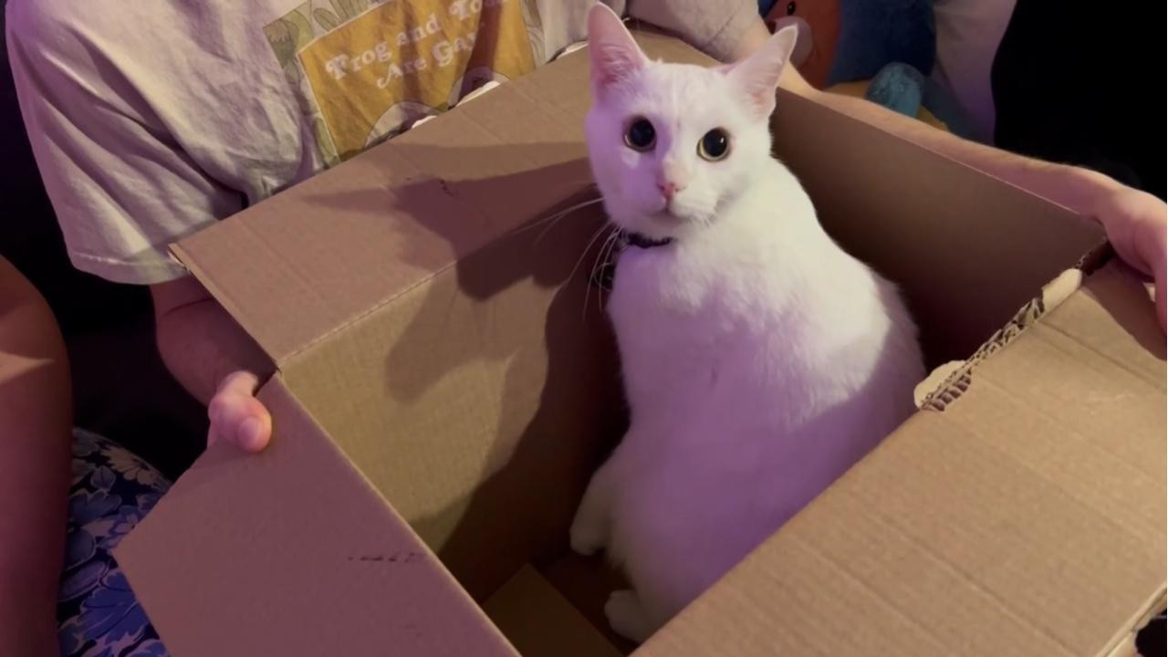 Backdrop for PSA FROM THE VOID