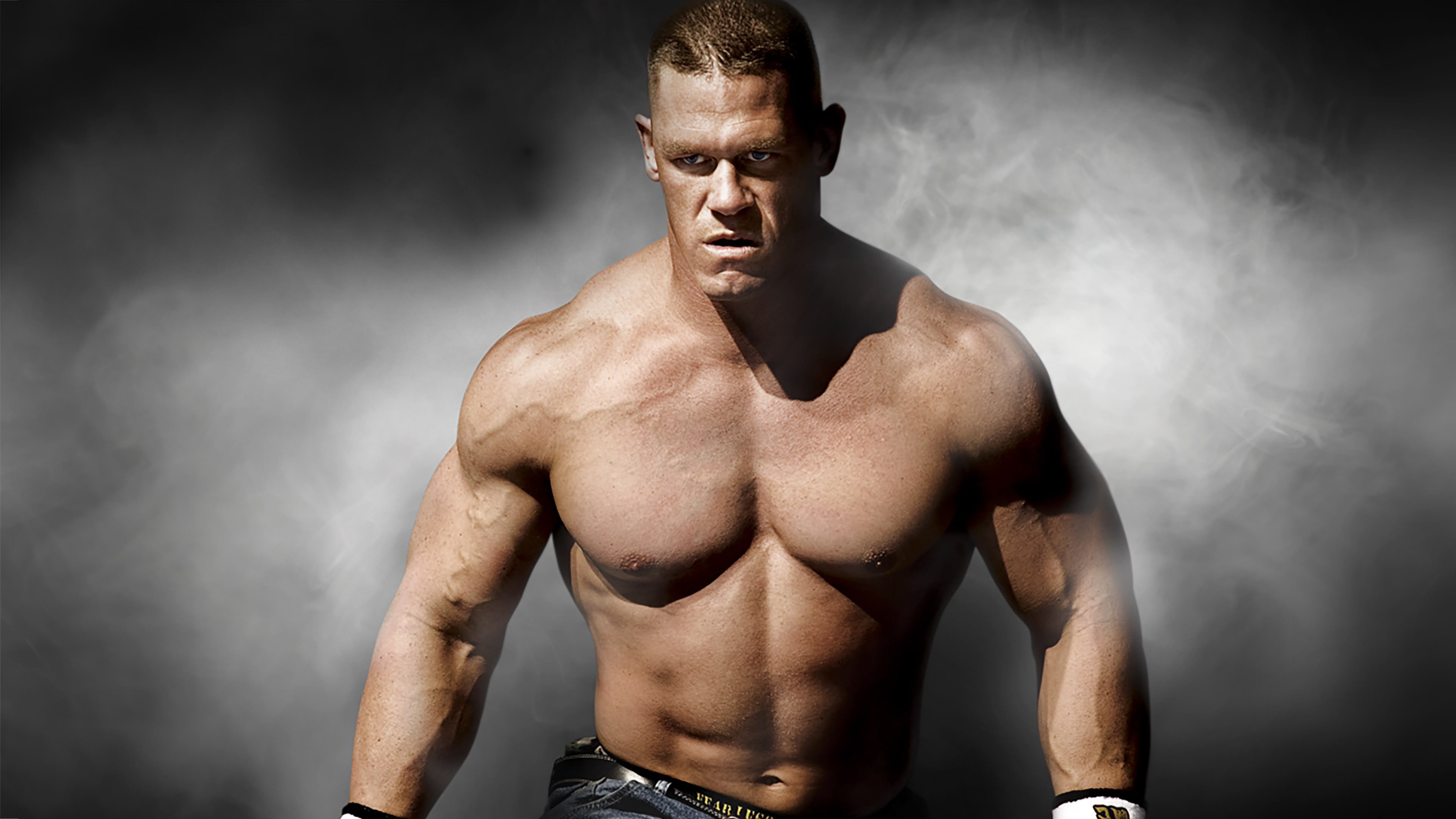 Backdrop for WWE Survivor Series 2008