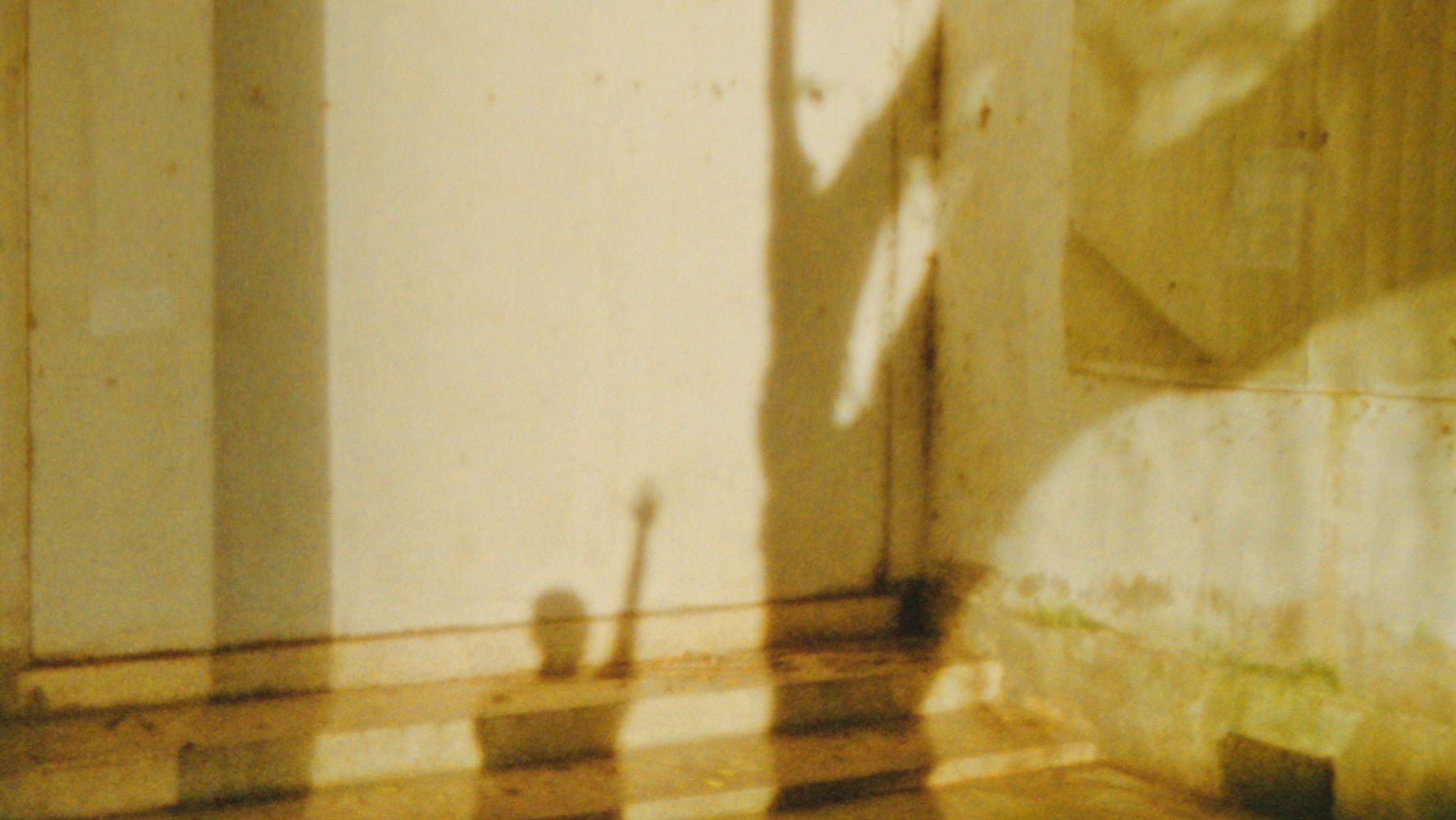 Backdrop for Will You Look at Me