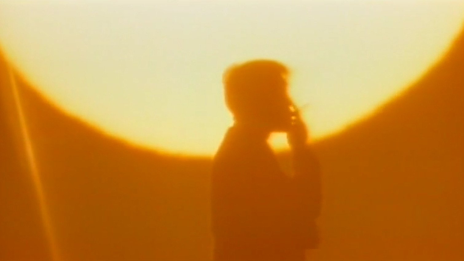 Backdrop for The Brutal Insanity of Love