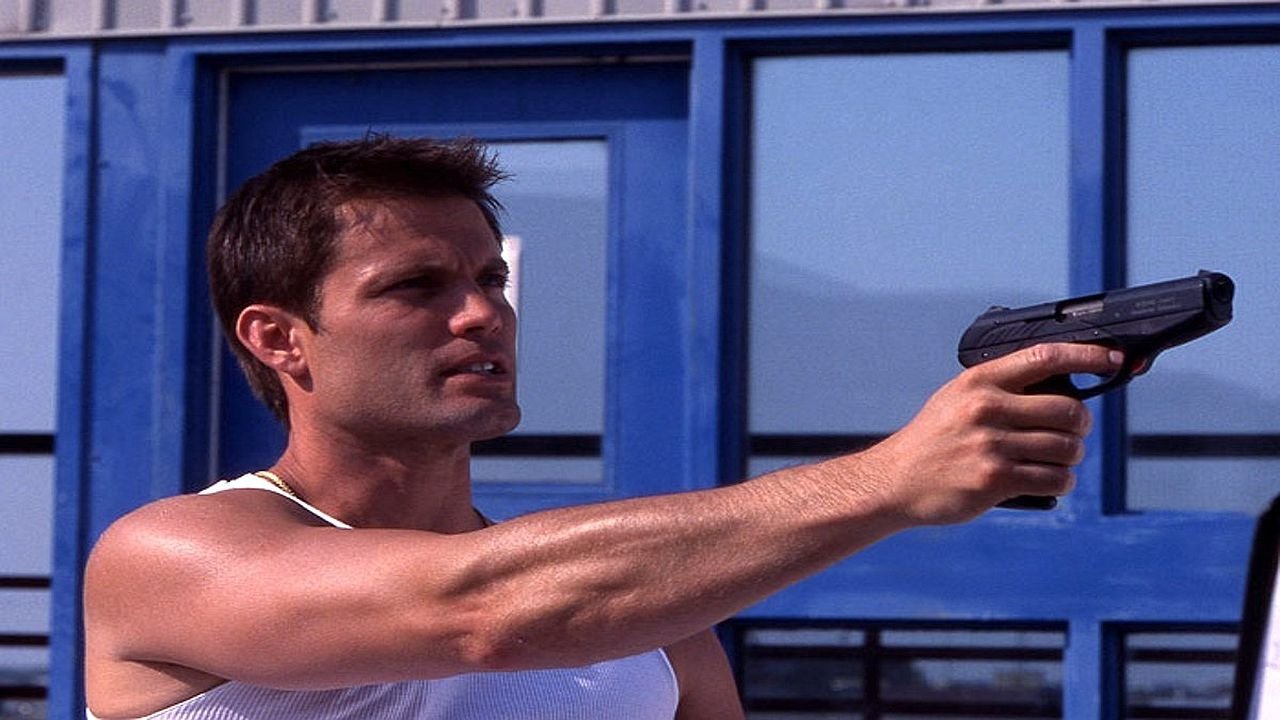 Backdrop for Hollywood Flies