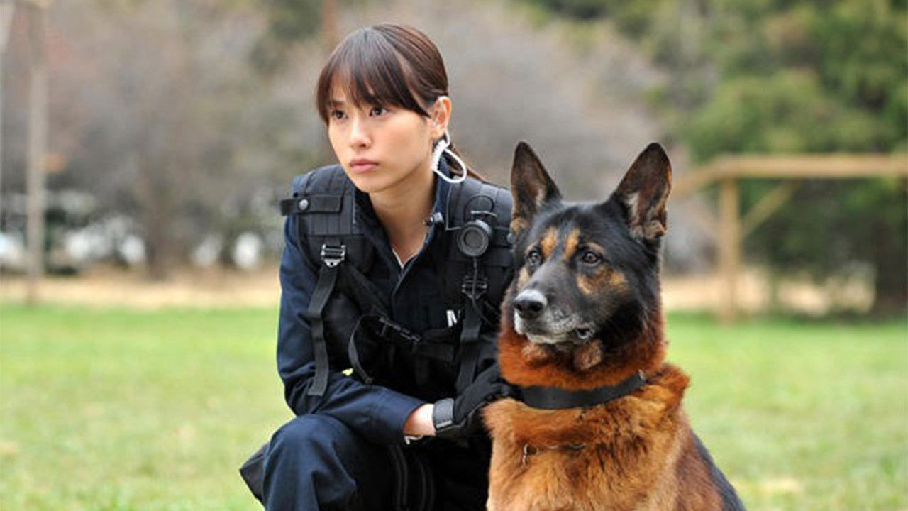 Backdrop for Dog × Police: The K-9 Force