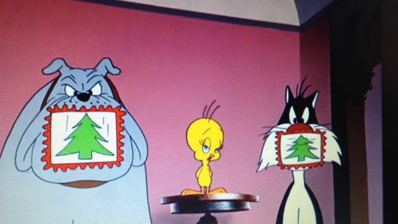 Backdrop for Gift Wrapped