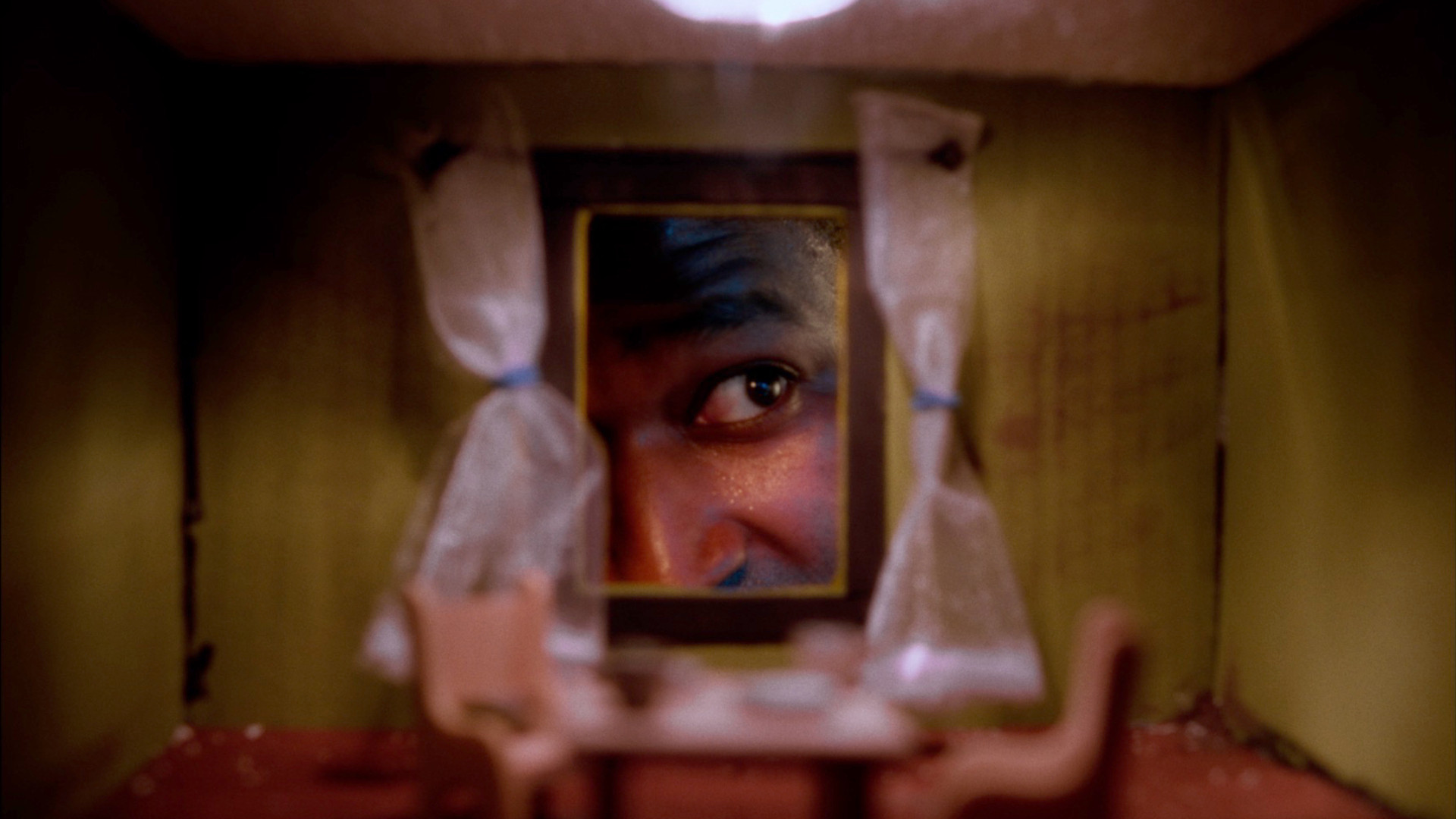 Backdrop for The Night Kills Lovers