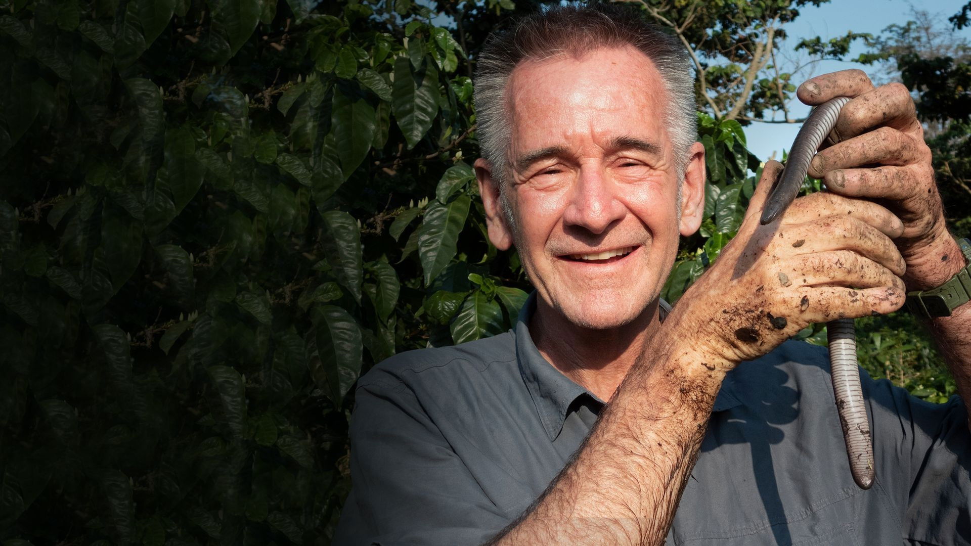 Backdrop for Wild El Salvador: In the Shadow of the Volcanoes