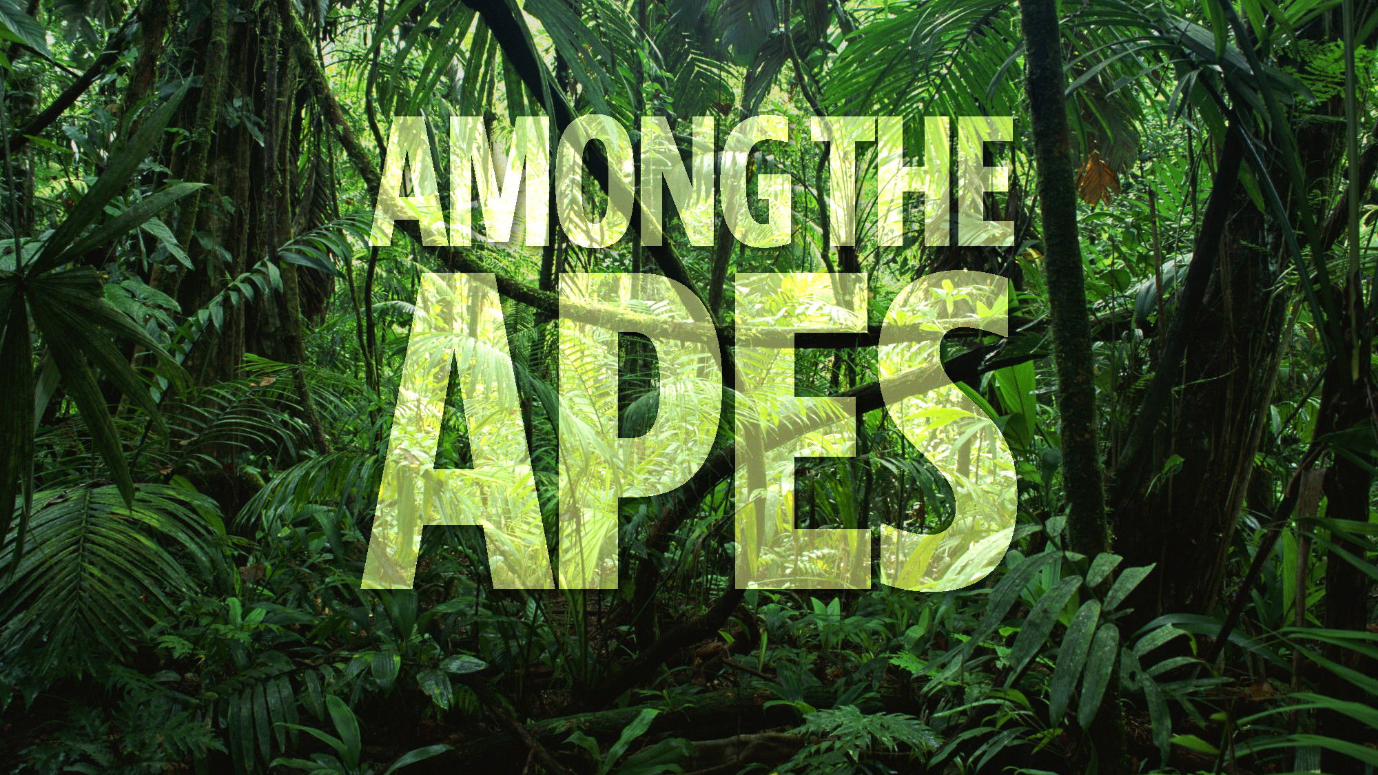 Backdrop for Among the Apes