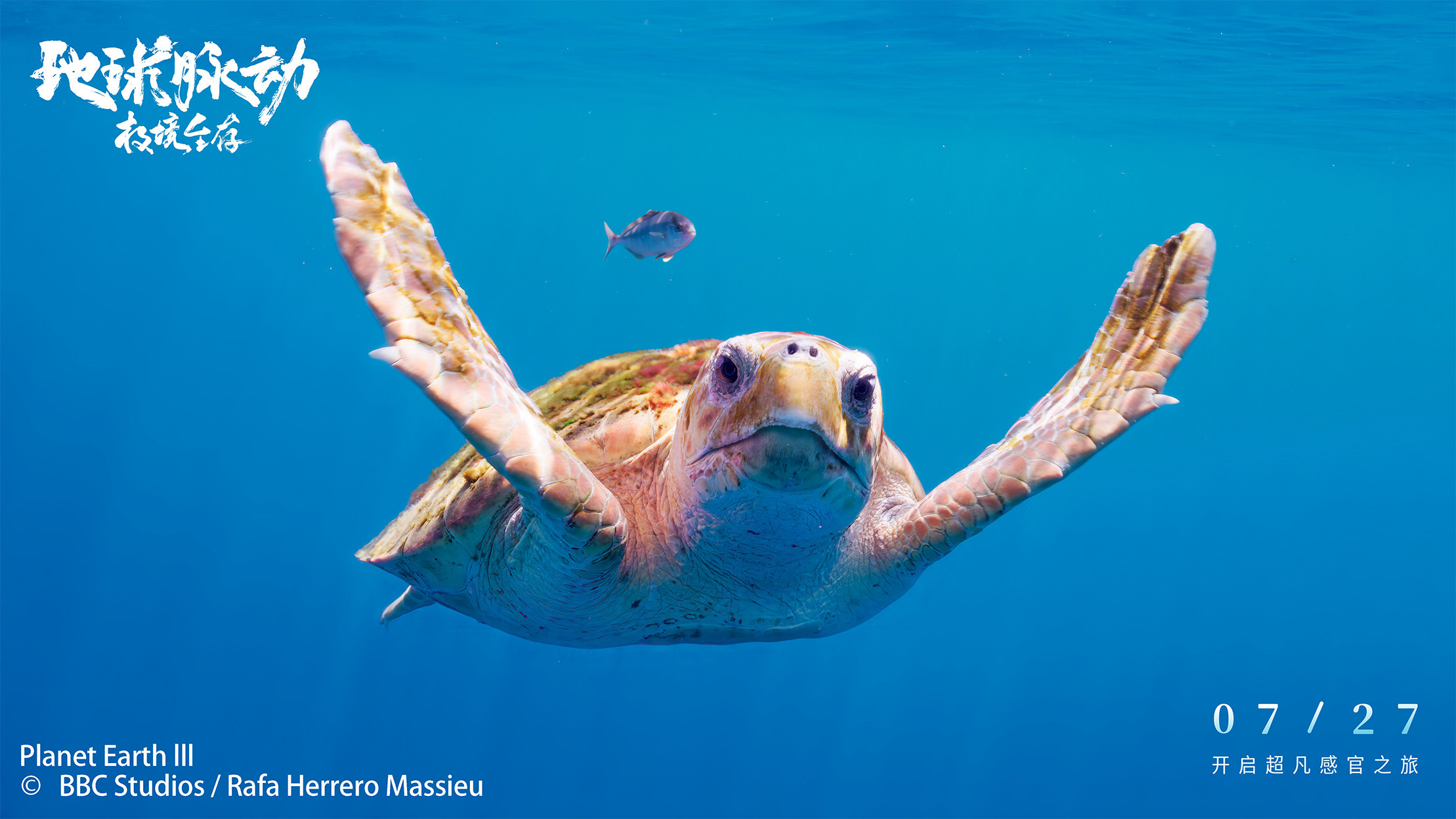 Backdrop for Planet Earth: Hostile Paradise or Perfect Hell?
