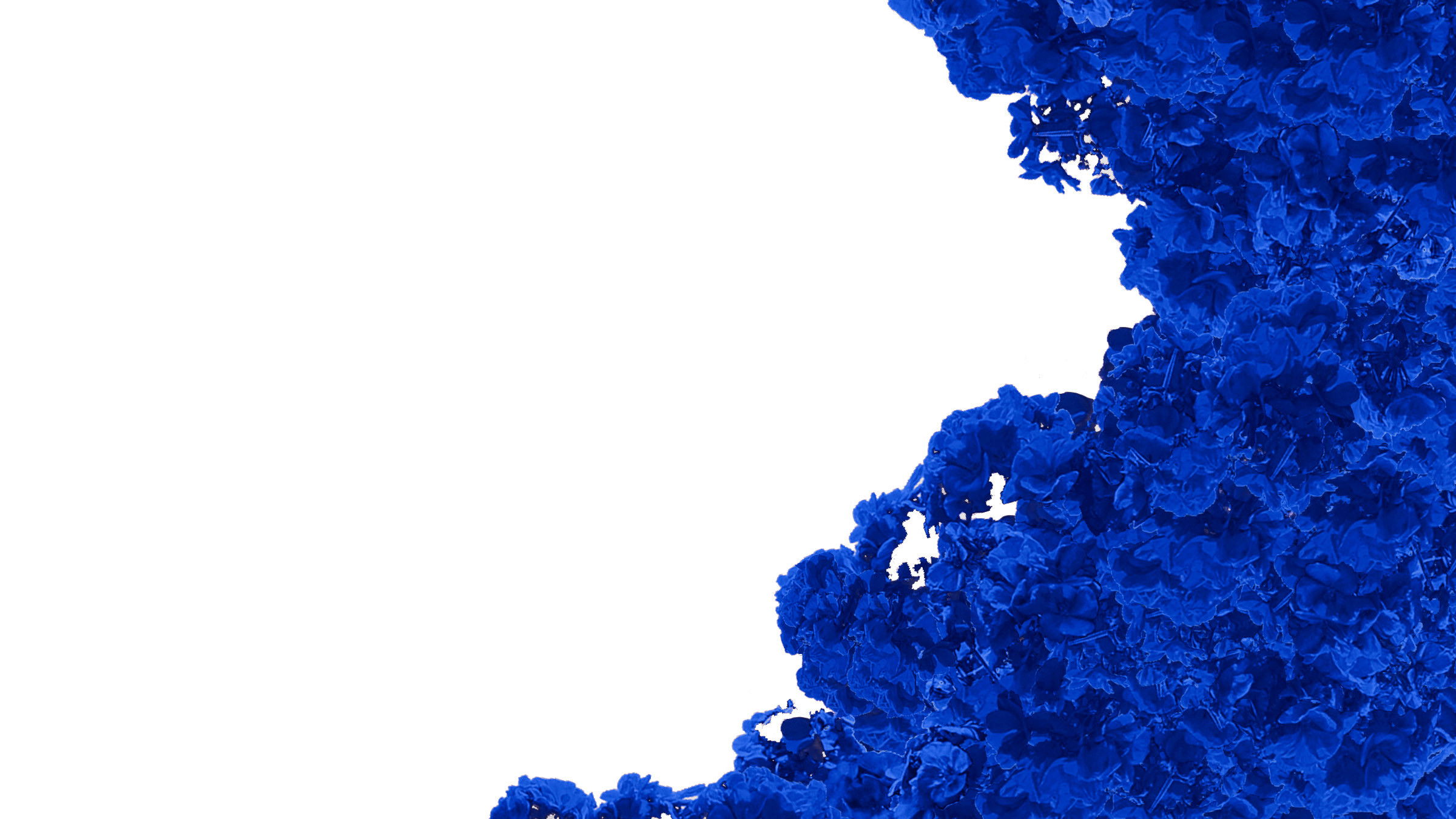 Backdrop for i hate you