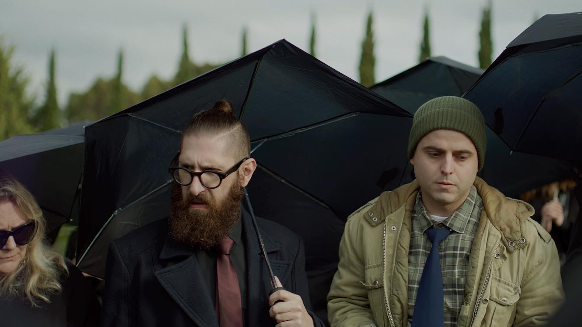 Backdrop for Bald Future