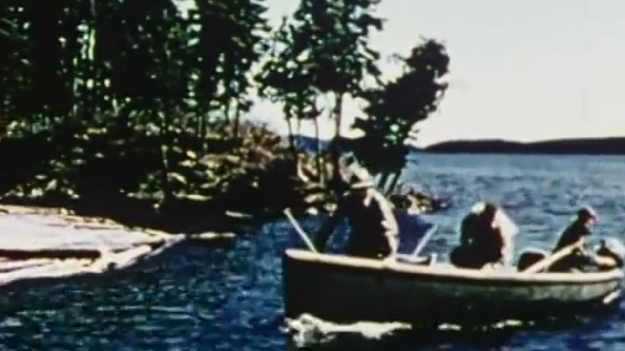 Backdrop for Waconichi