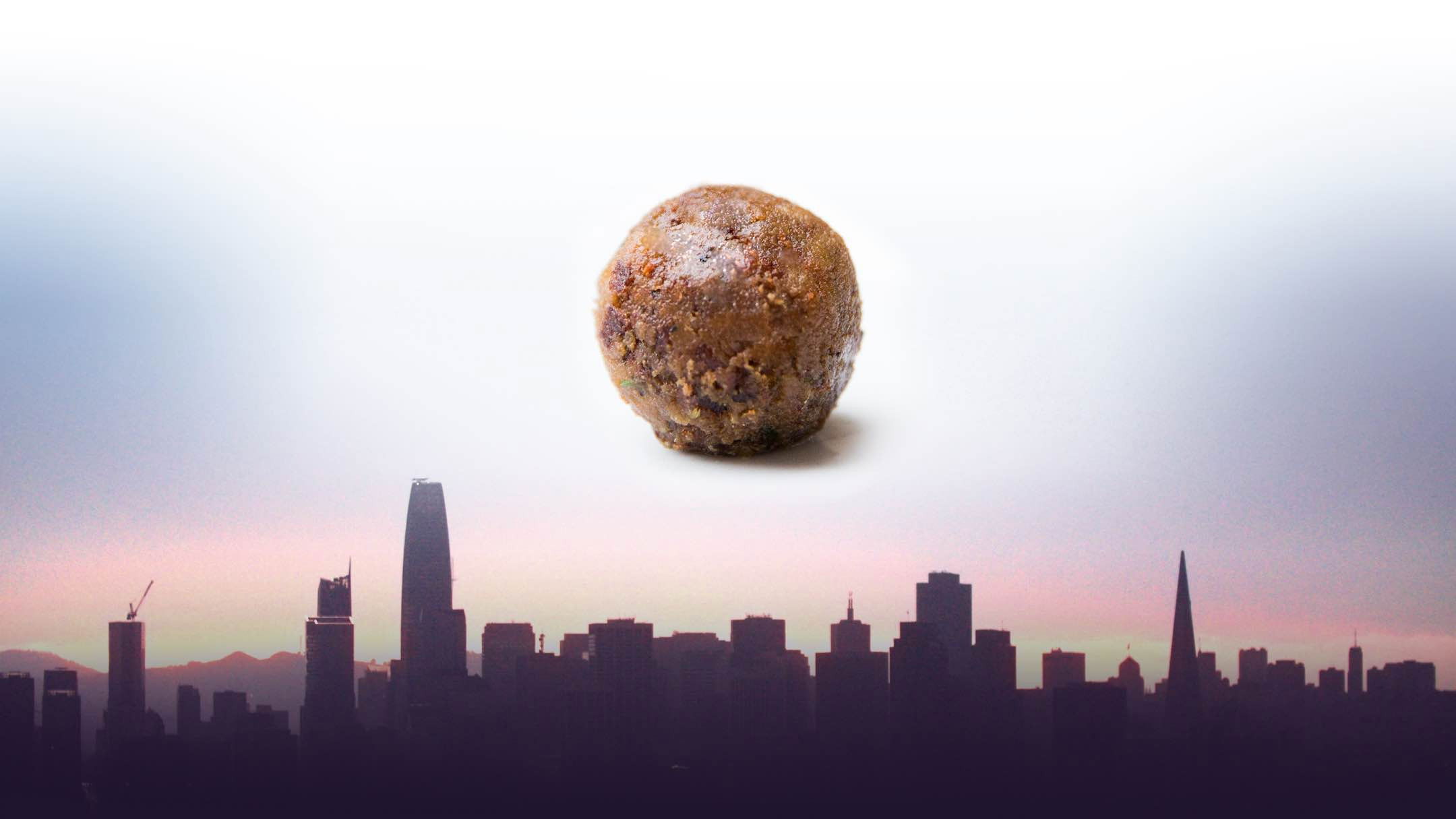 Backdrop for Meat the Future