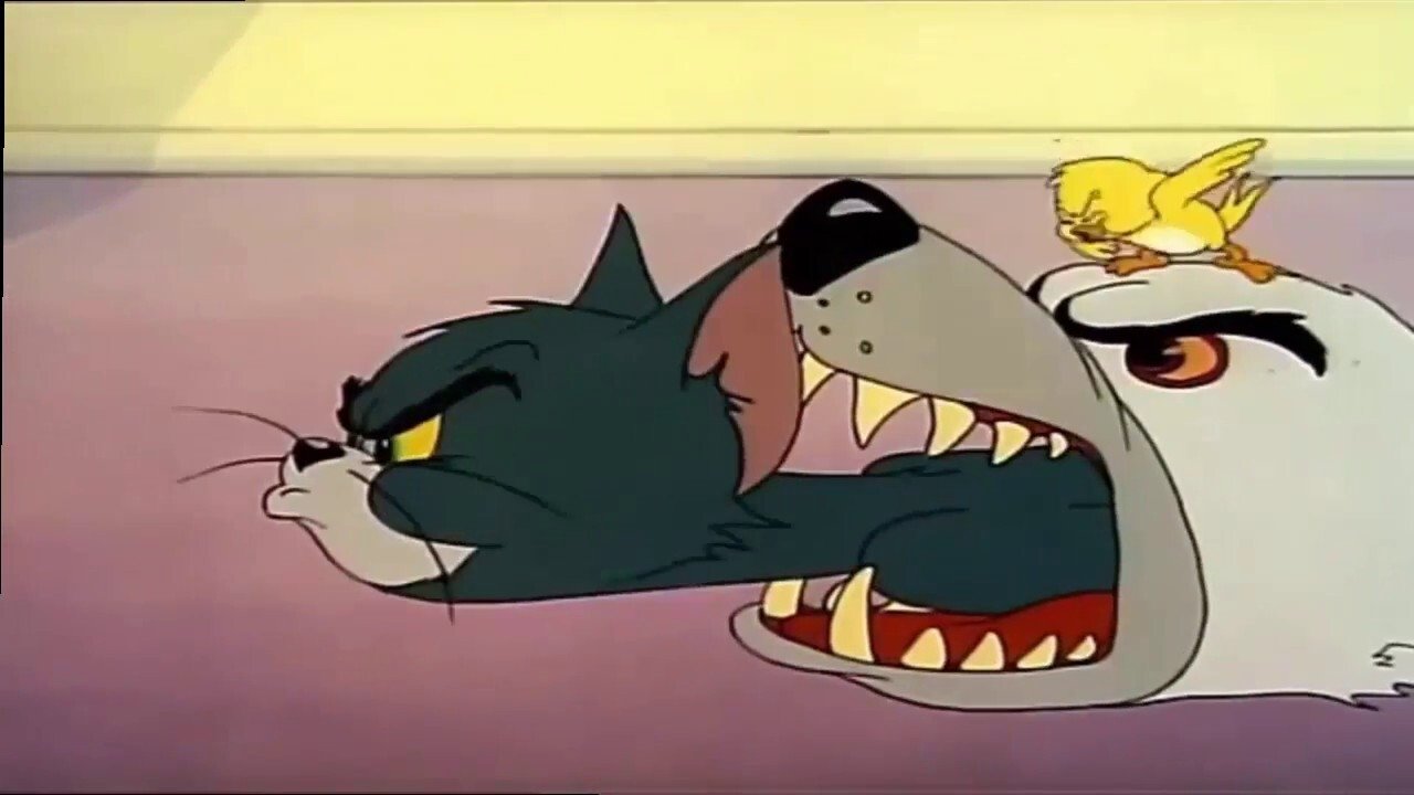 Backdrop for Kitty Foiled