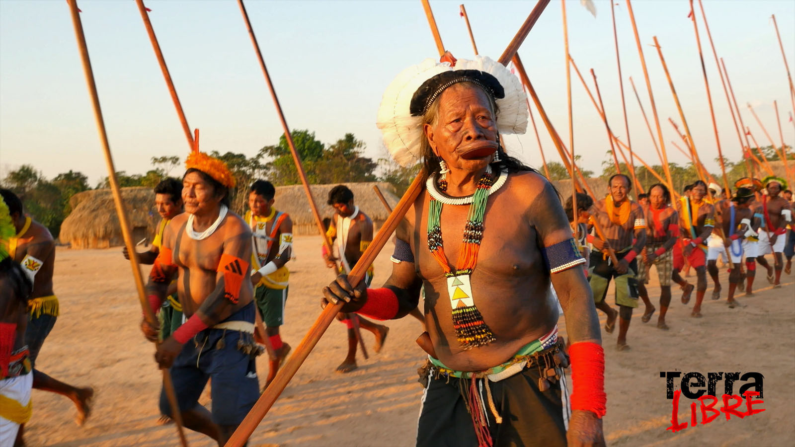 Backdrop for Terra Libre