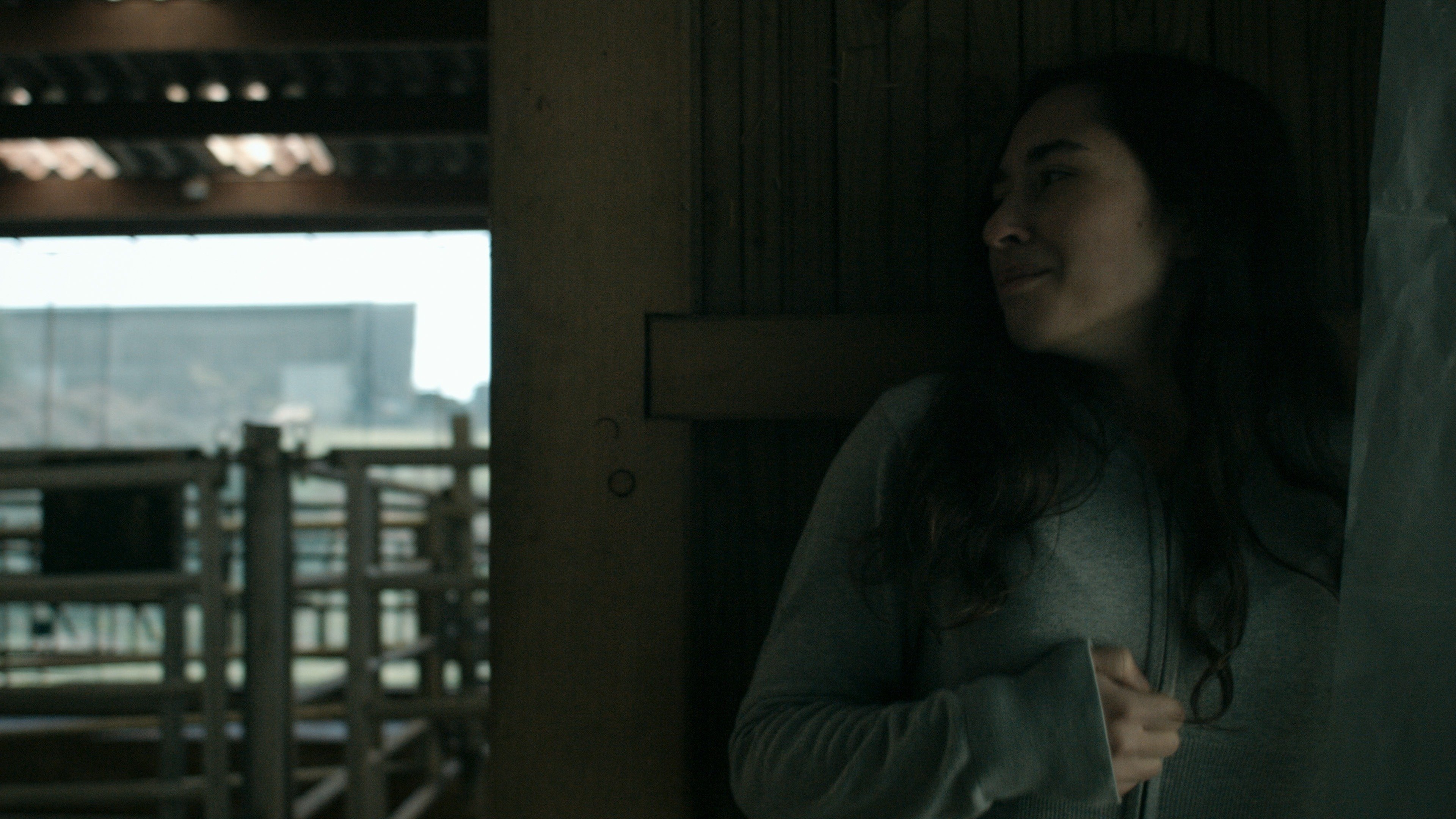 Backdrop for Anonymous Animals