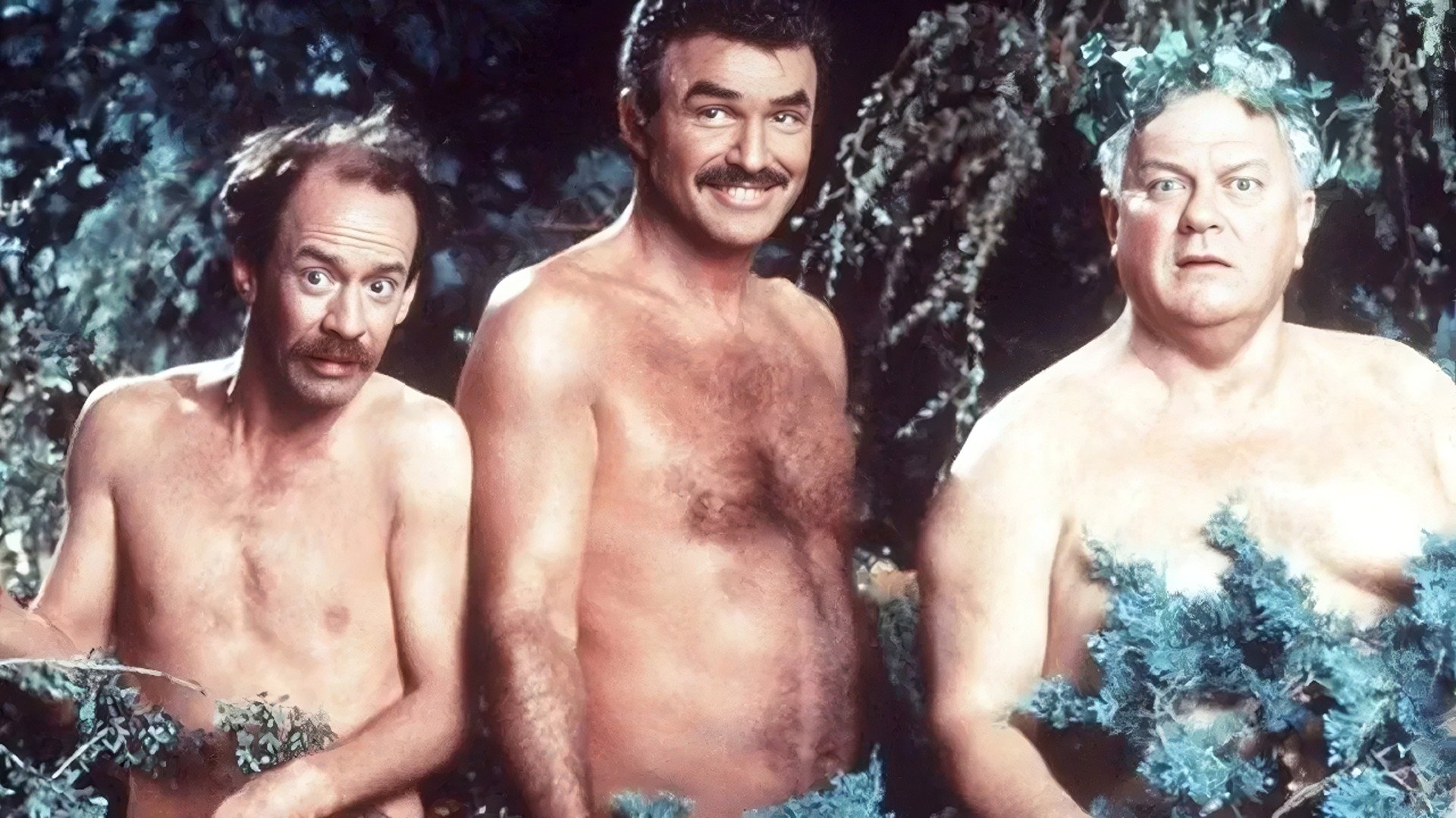 Backdrop for Evening Shade