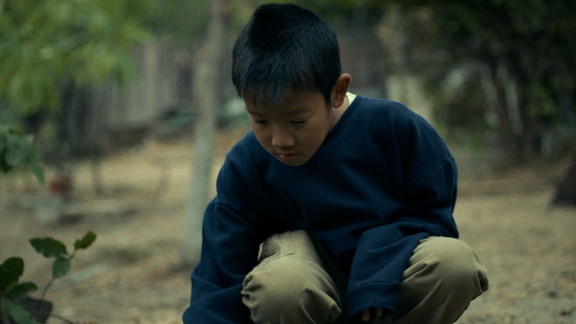 Backdrop for Forever is a Delicate Thing