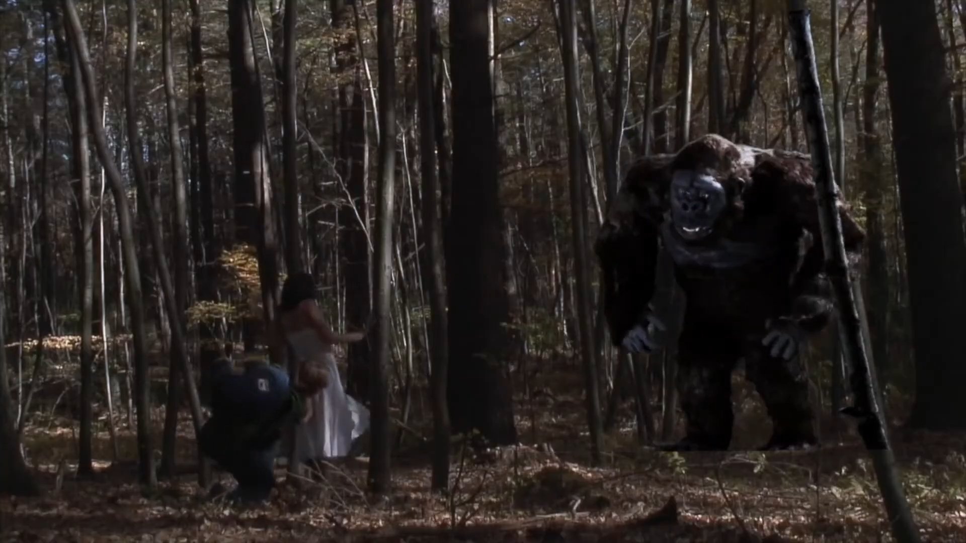 Backdrop for King Chong