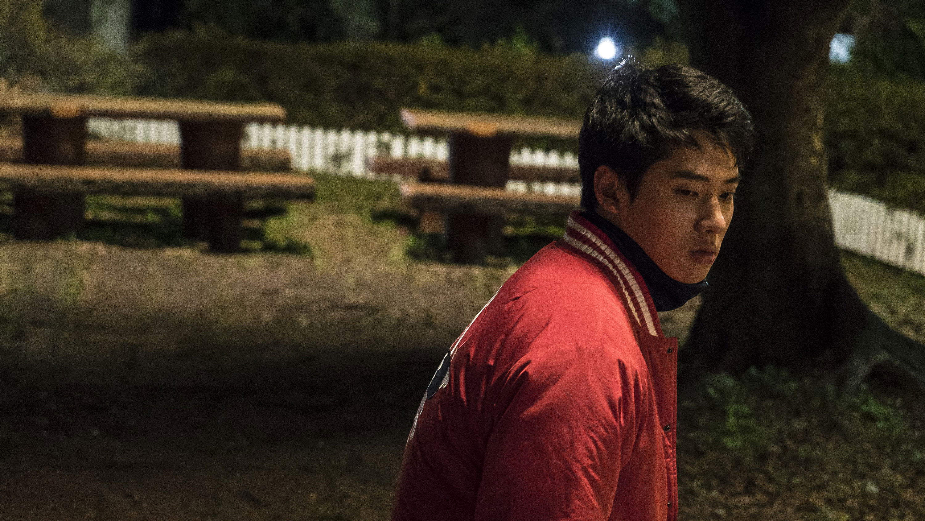 Backdrop for The Poet and the Boy