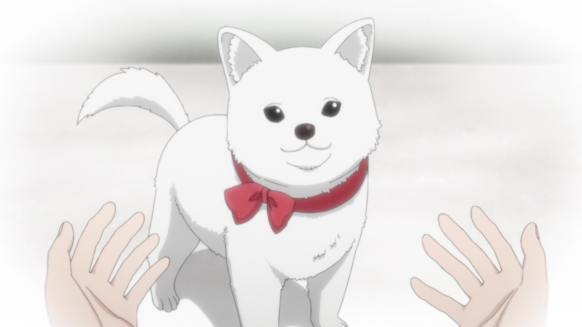 Backdrop for Kinokoinu Mushroom Pup