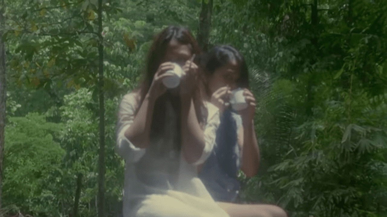 Backdrop for People Power Bombshell: The Diary of Vietnam Rose