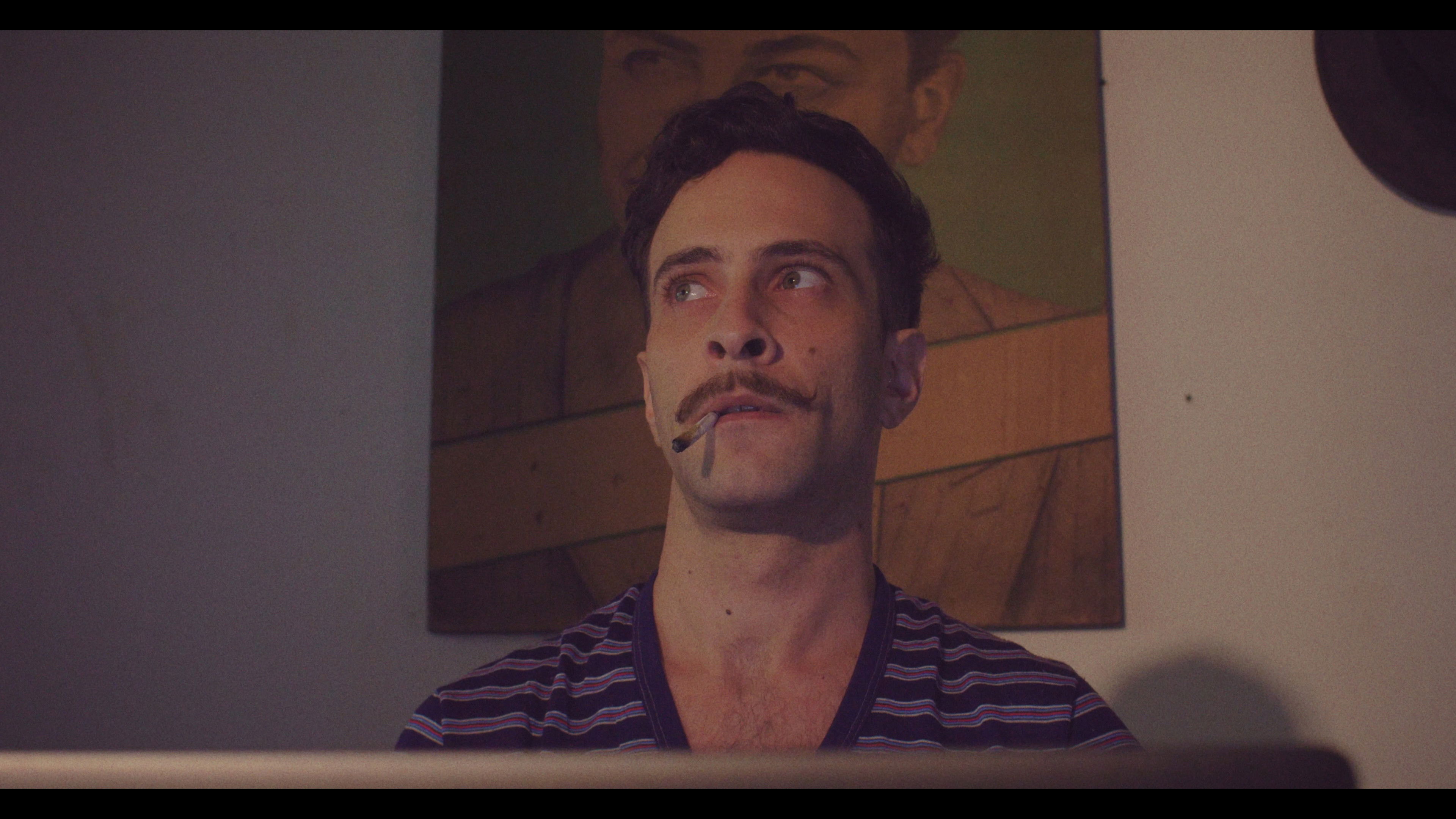 Backdrop for The Machine, The Dolphin and a Garden Gnome