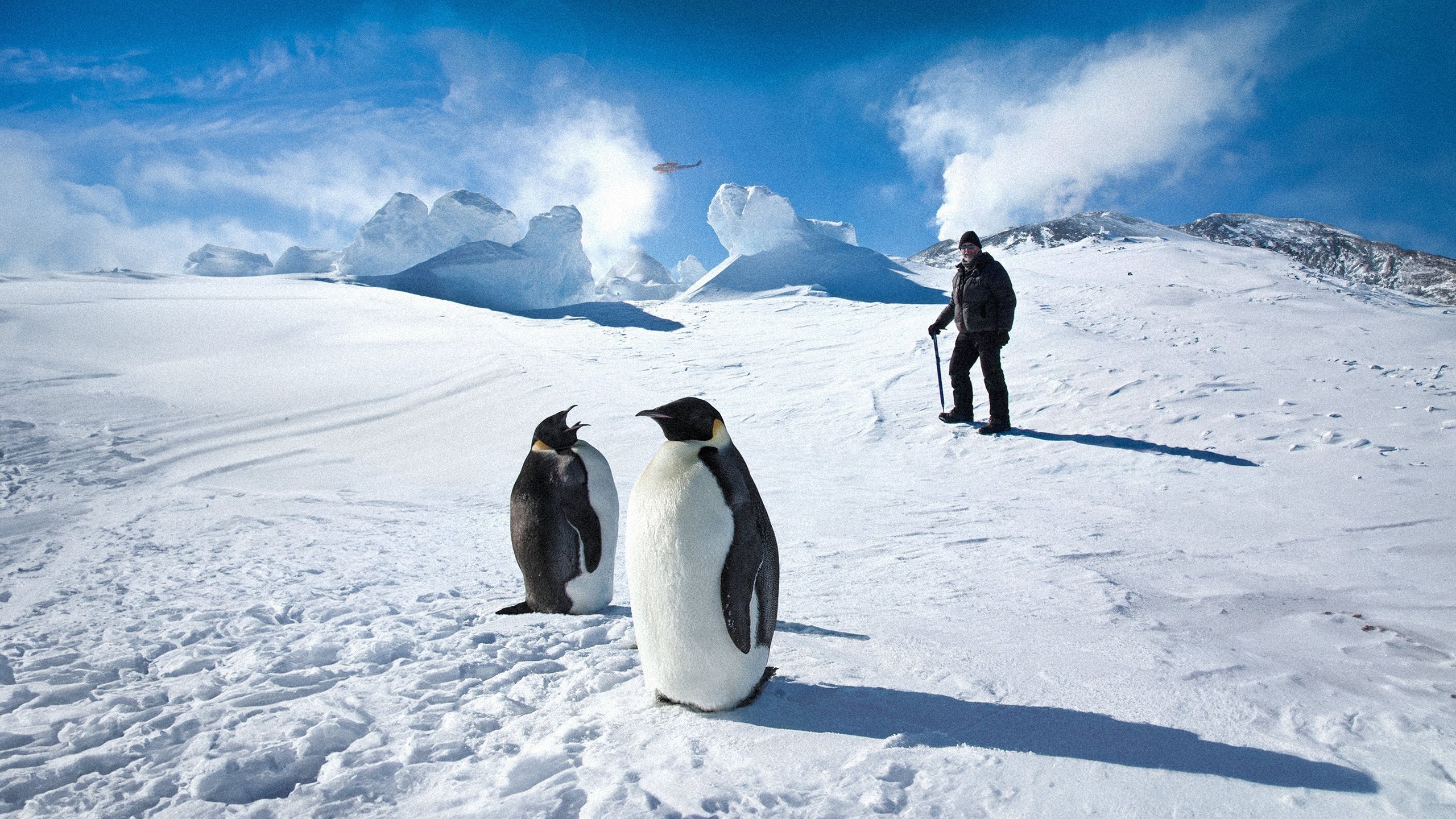 Backdrop for Antarctica: A Year on Ice