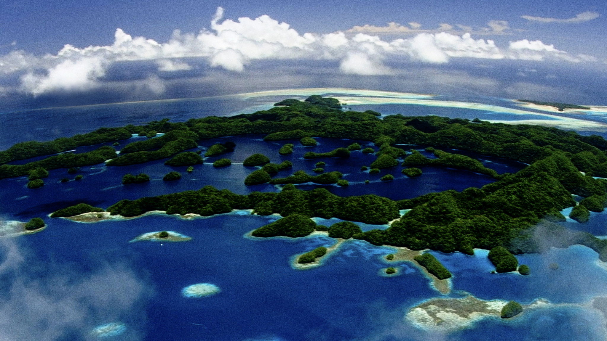 Backdrop for Pristine Seas: The Power of Protection