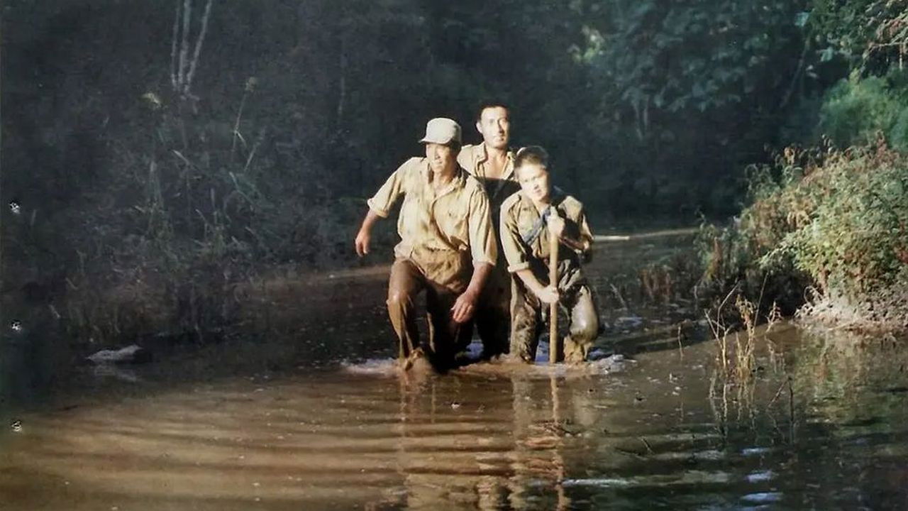 Backdrop for Jungle Escape
