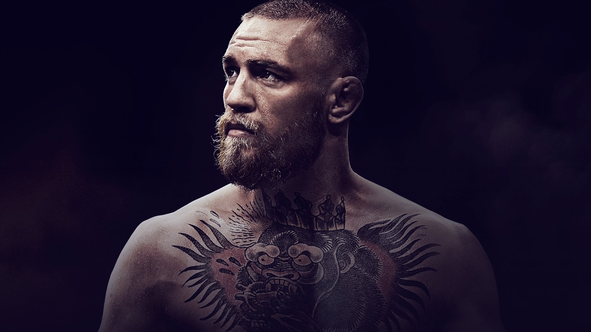 Backdrop for Conor McGregor: Notorious