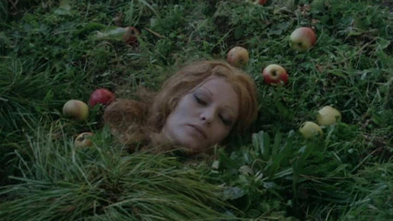 Backdrop for The Bloodsucker Leads the Dance