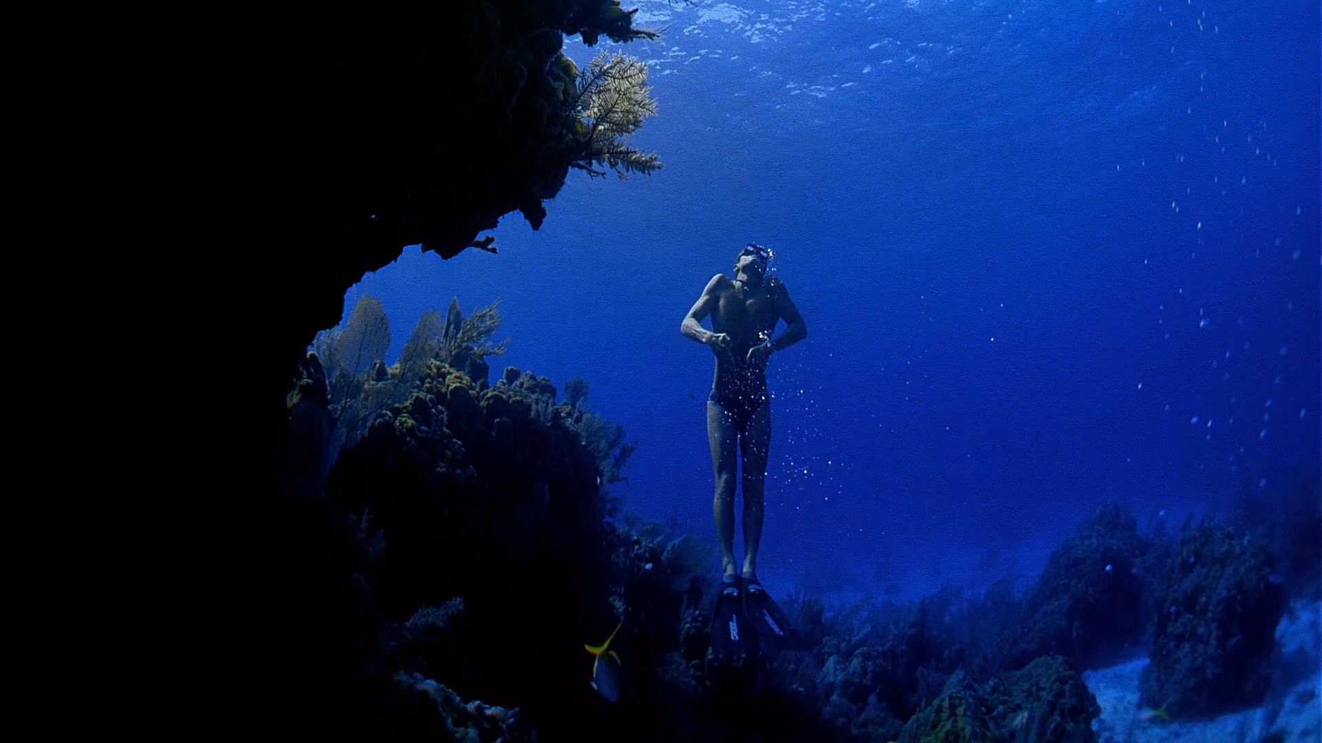 Backdrop for Ocean Men, Extreme Dive