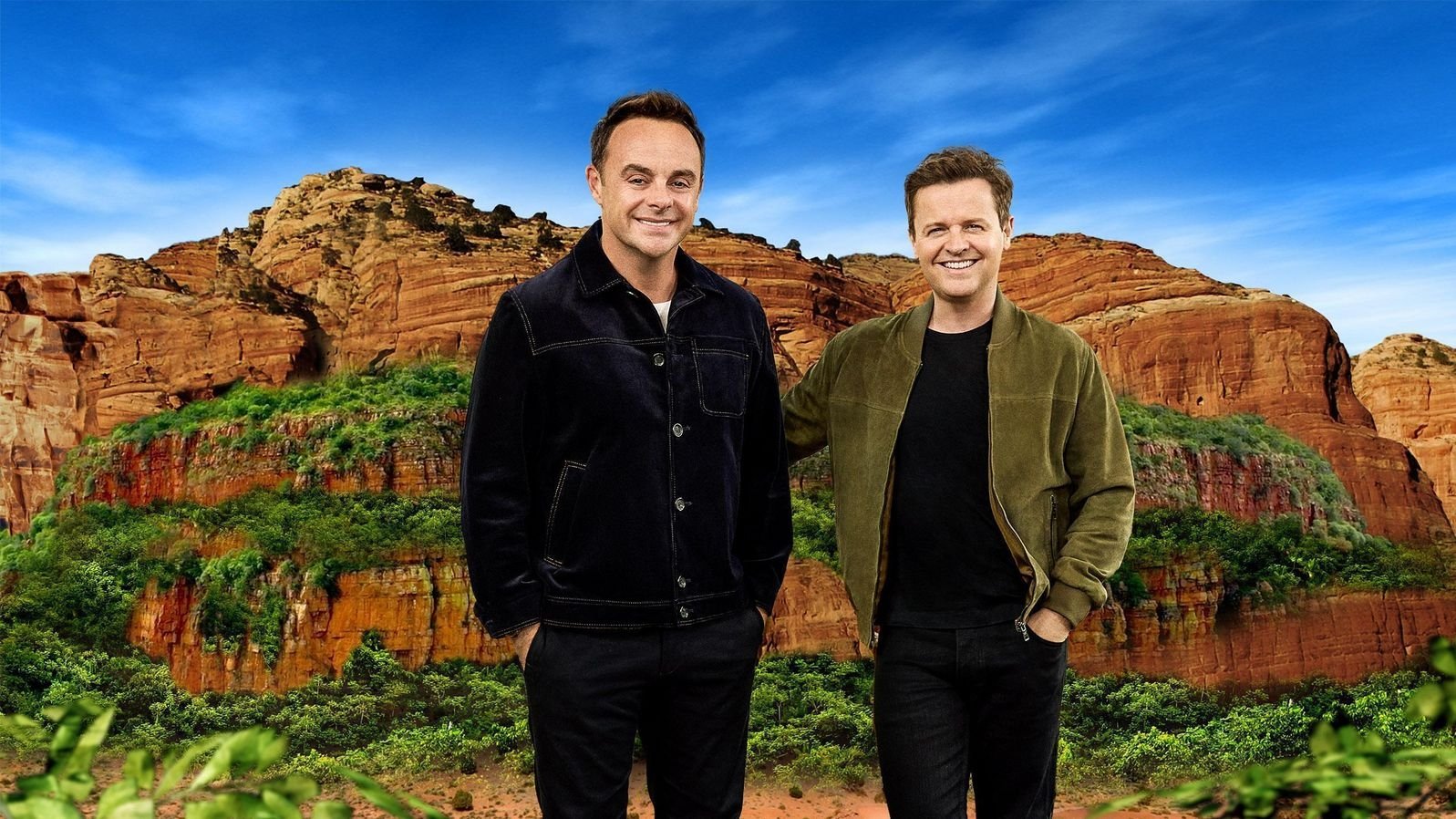 Backdrop for I'm a Celebrity... South Africa