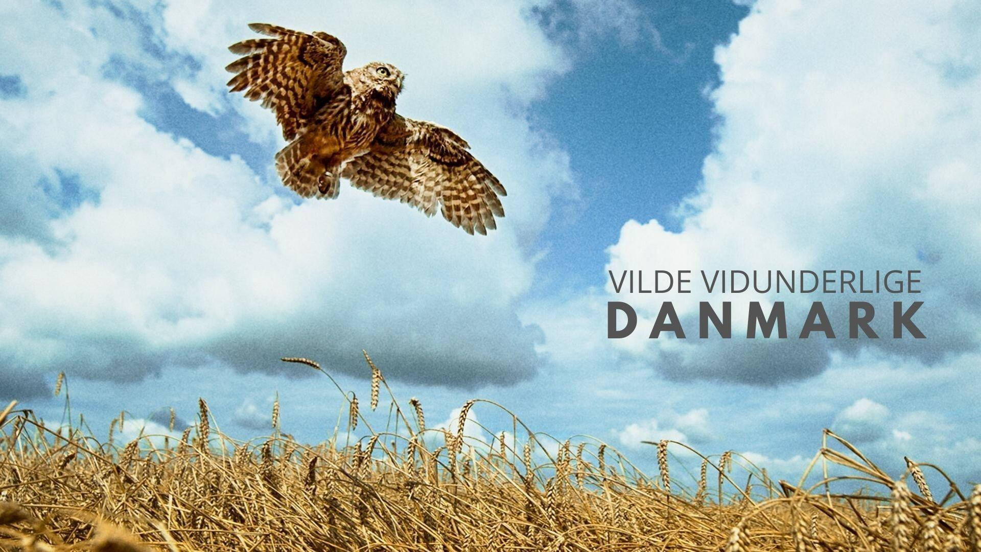 Backdrop for Wild and Wonderful Denmark