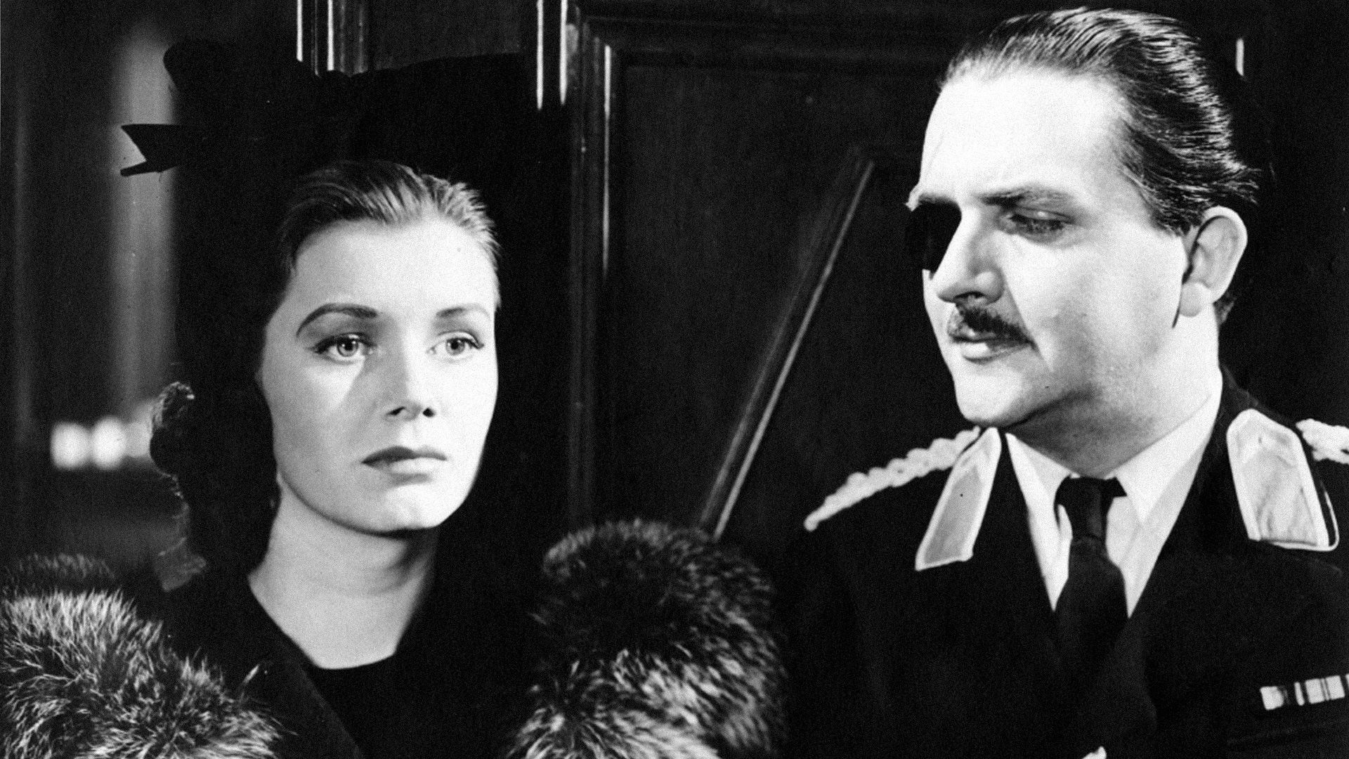 Backdrop for His Excellency