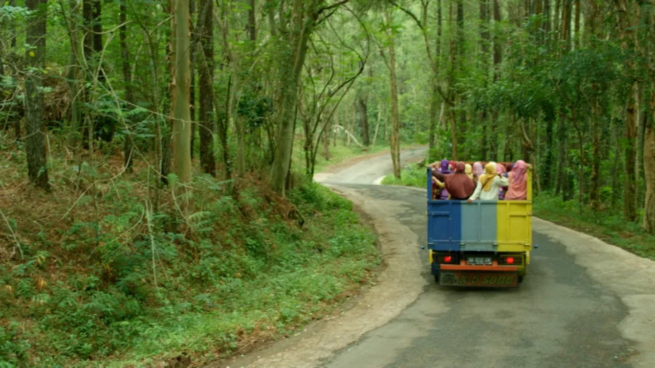 Backdrop for Ladies On Top