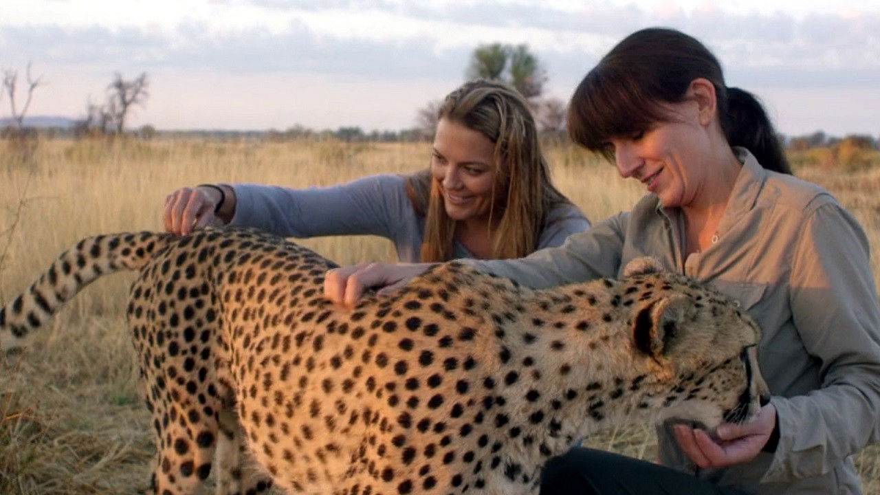 Backdrop for Davina McCall: Life at the Extreme