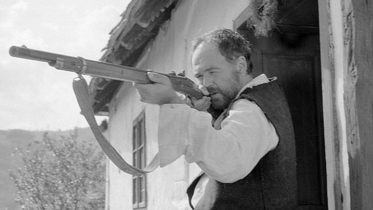 Backdrop for Sugar Loaf