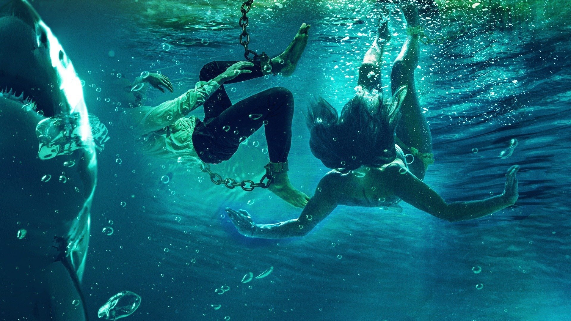 Backdrop for Blood in the Water