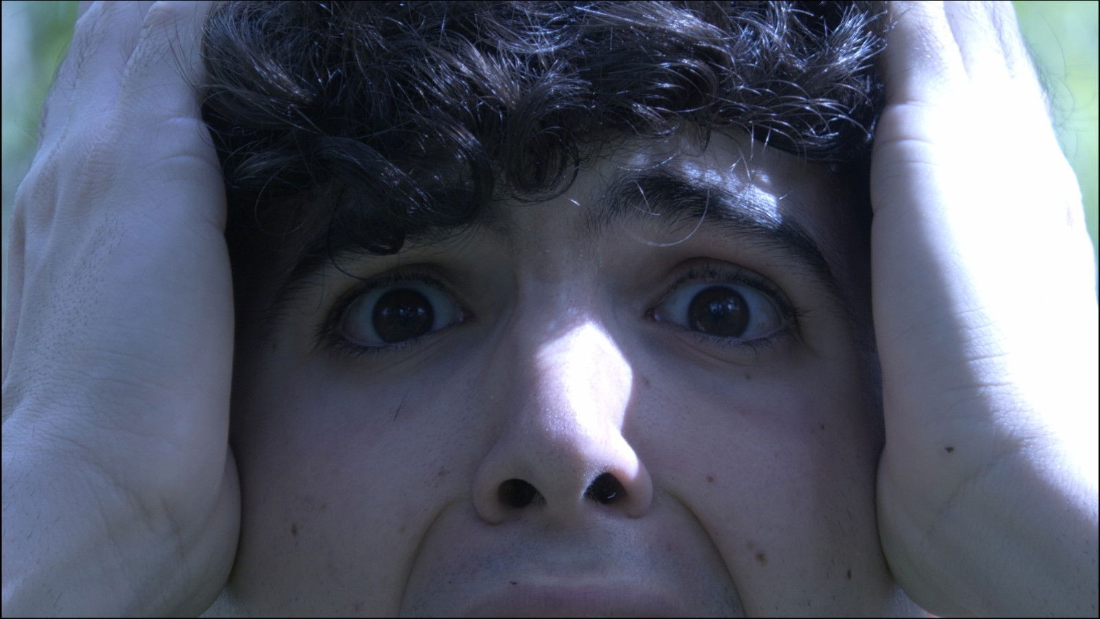 Backdrop for VIGILIA