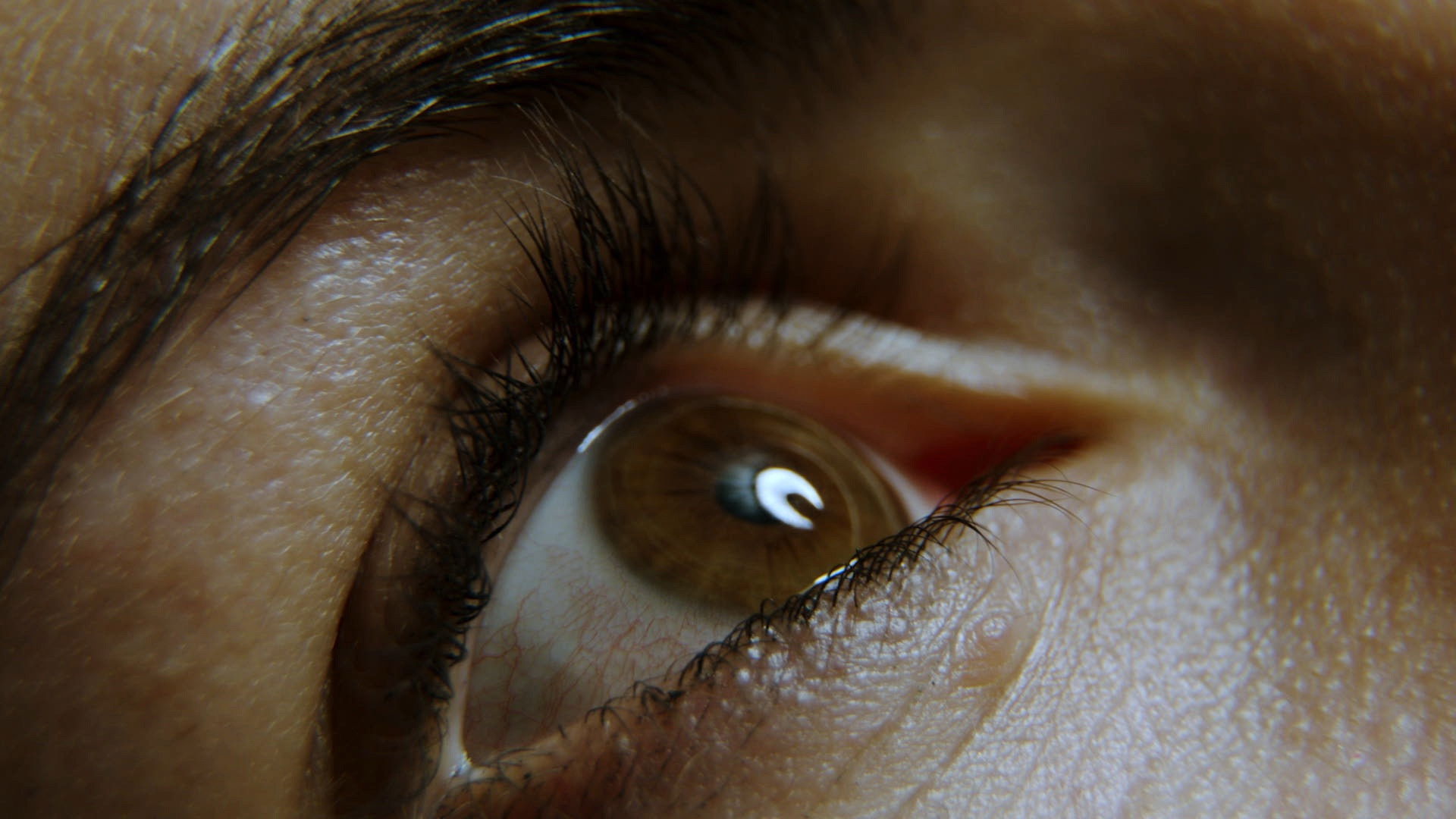 Backdrop for Beyond Zero