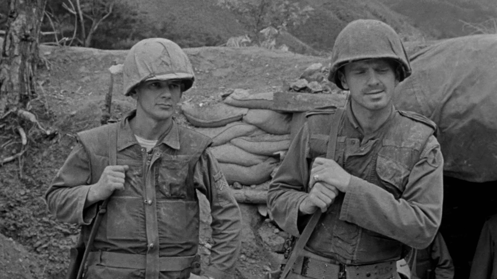 Backdrop for Cease Fire!