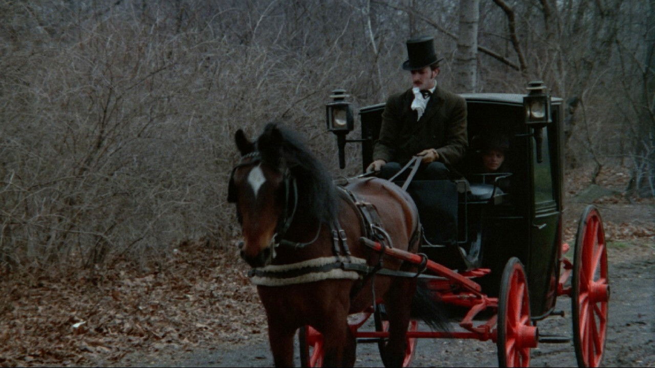 Backdrop for The Naughty Victorians: An Erotic Tale of a Maiden's Revenge