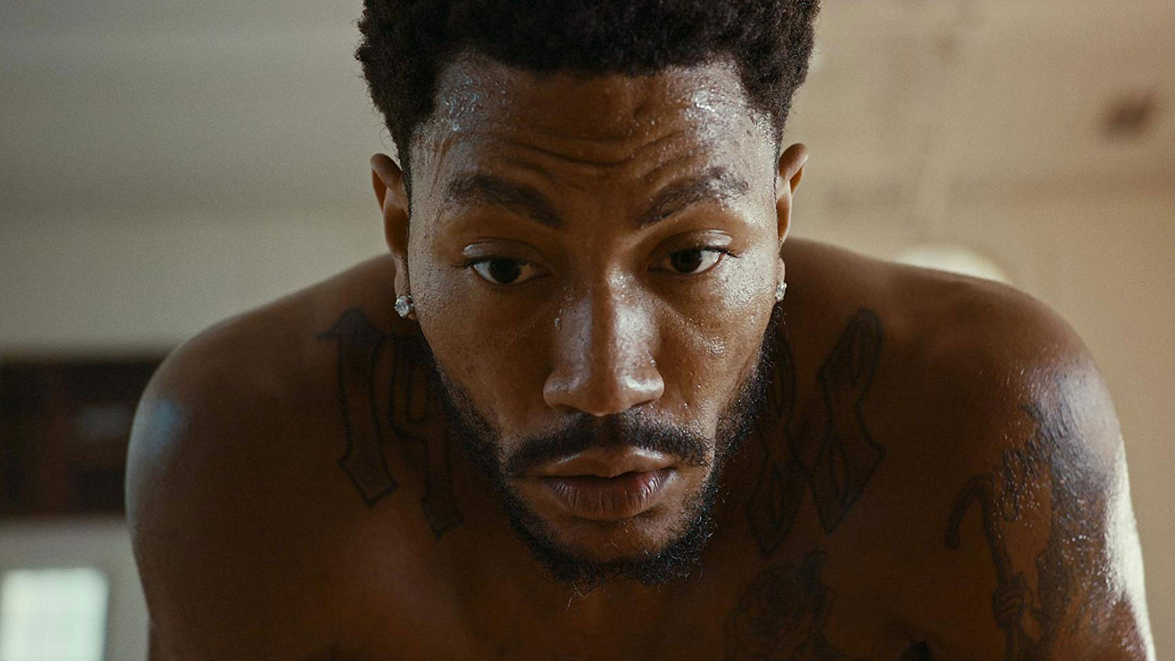 Backdrop for Pooh: The Derrick Rose Story