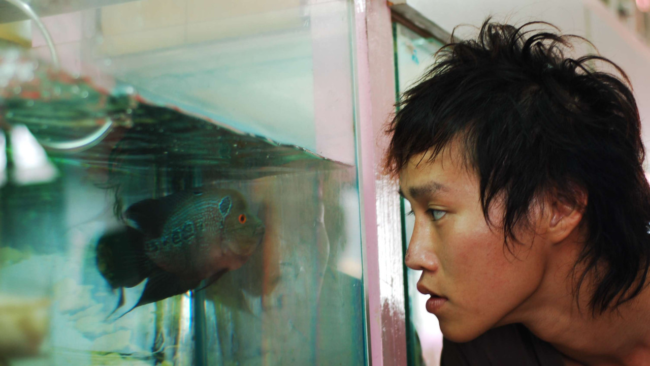 Backdrop for The Elephant and the Sea