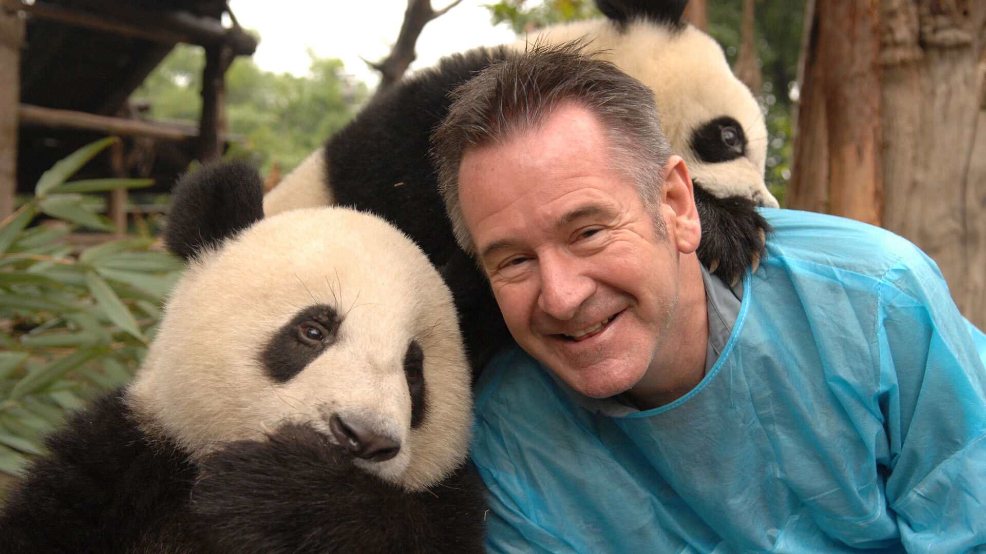 Backdrop for Panda Adventure with Nigel Marven