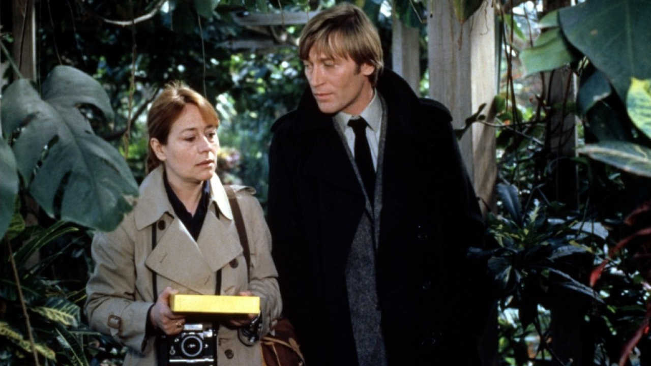 Backdrop for Focal Point