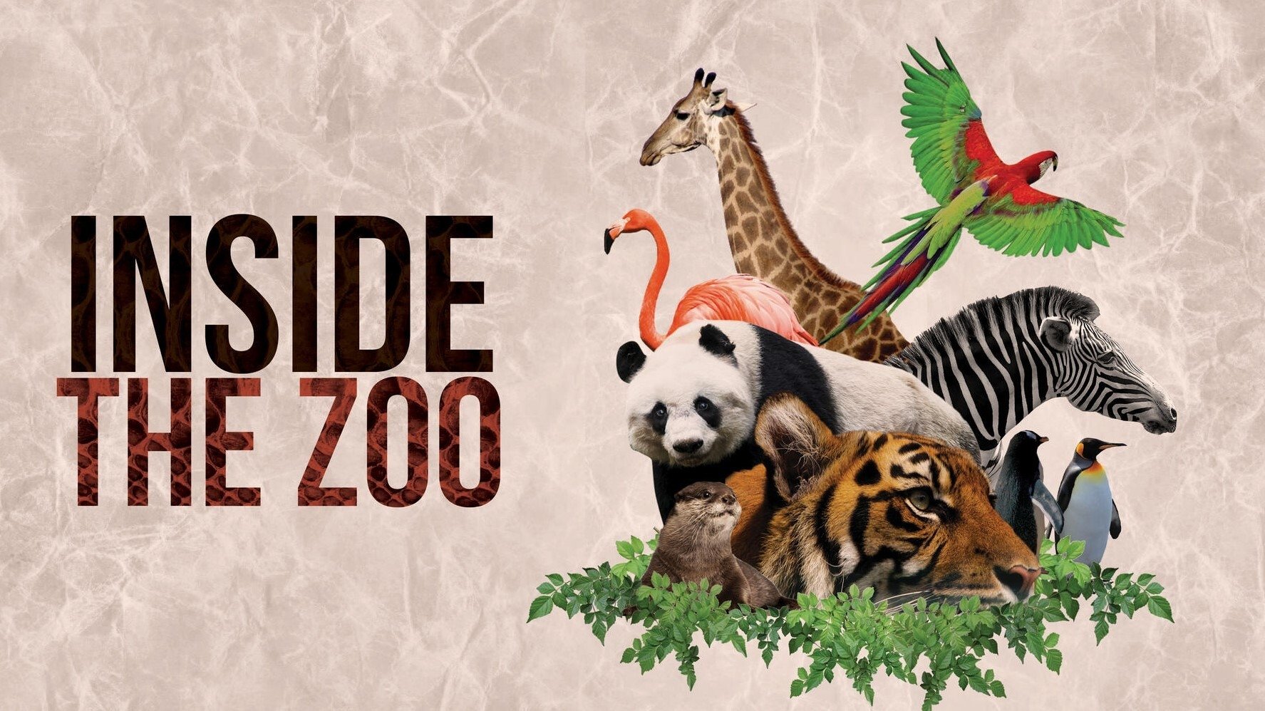 Backdrop for Inside The Zoo